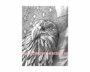 American Eagle 3d illusion & laser-ready file - 3DWave.us
